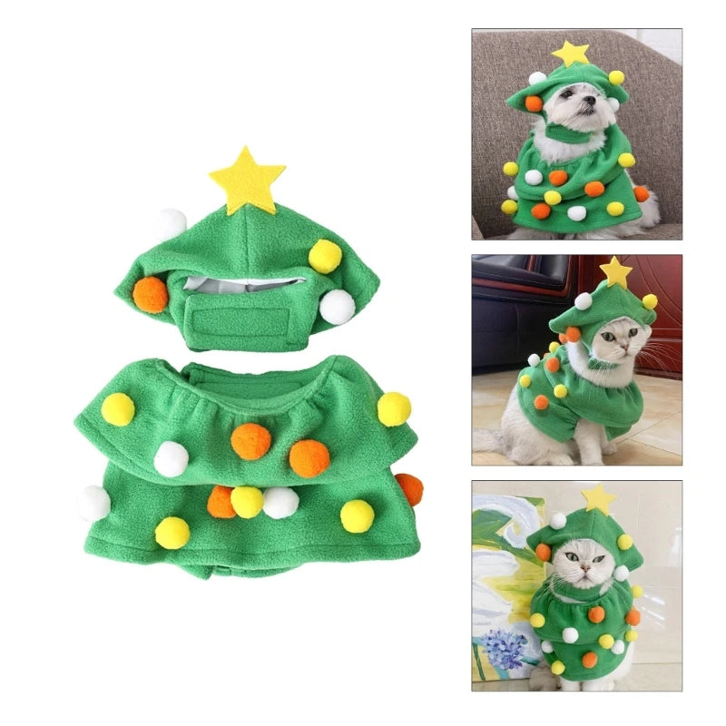 Make Your Pet the Star of Christmas