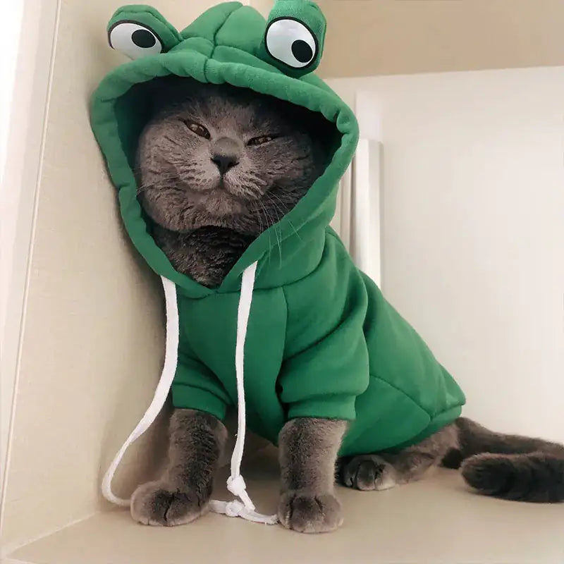 Cute & Cozy Costumes For Pet - Frog, Carrot, Banana