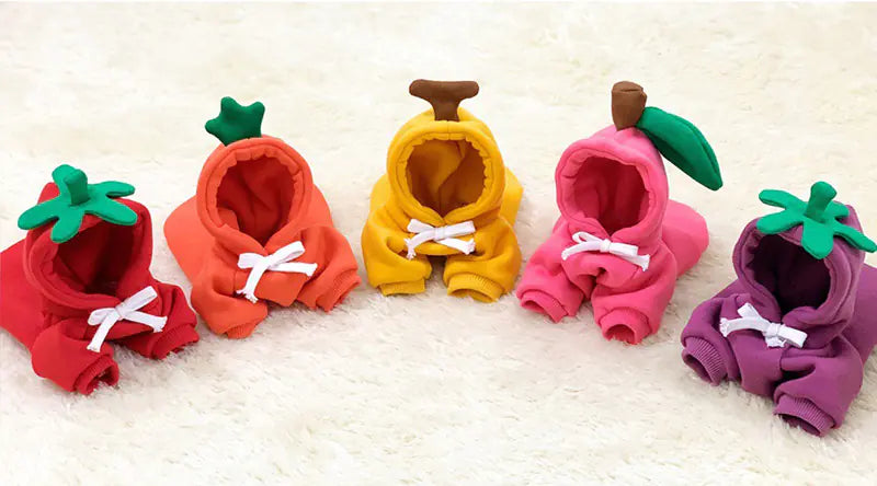 Cute & Cozy Costumes For Pet - Frog, Carrot, Banana