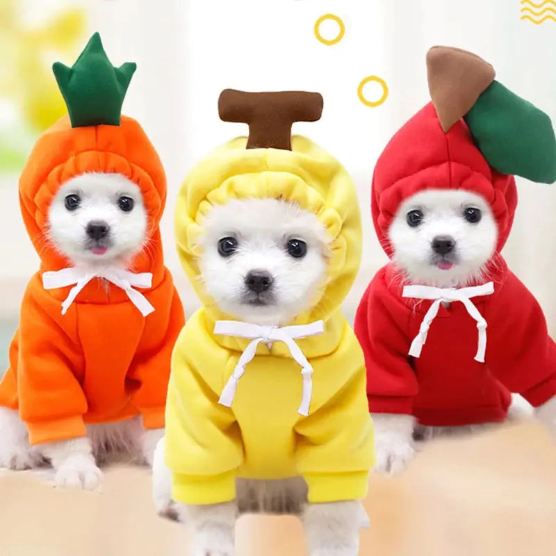 Cute & Cozy Costumes For Pet - Frog, Carrot, Banana