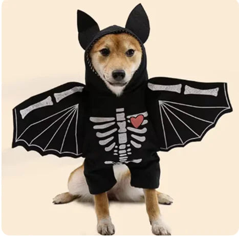 Halloween Bat Costume for Dogs