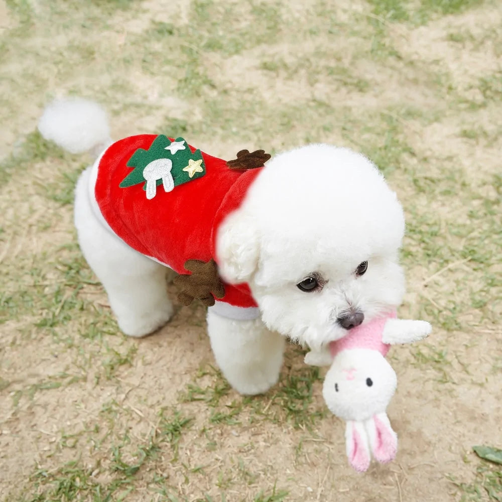 Christmas Santa Costume - cats or small dogs