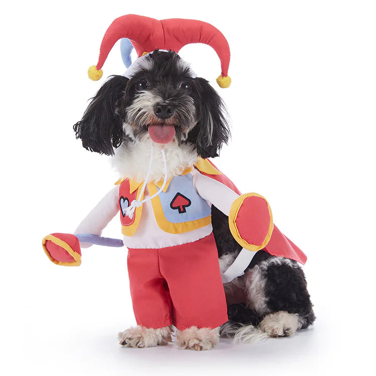 Halloween Dog Costumes - many to choose from