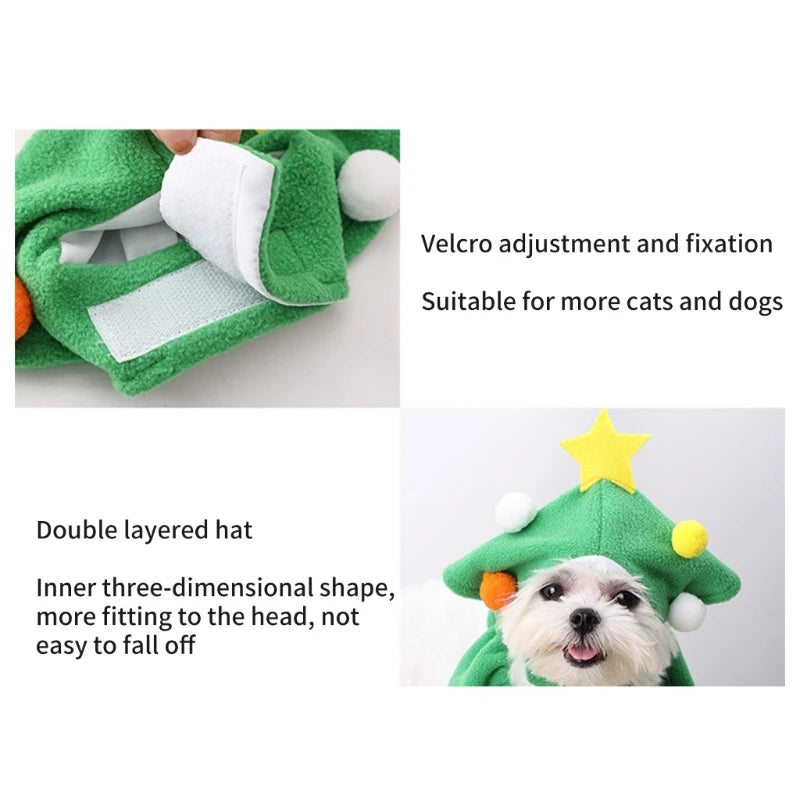 Make Your Pet the Star of Christmas