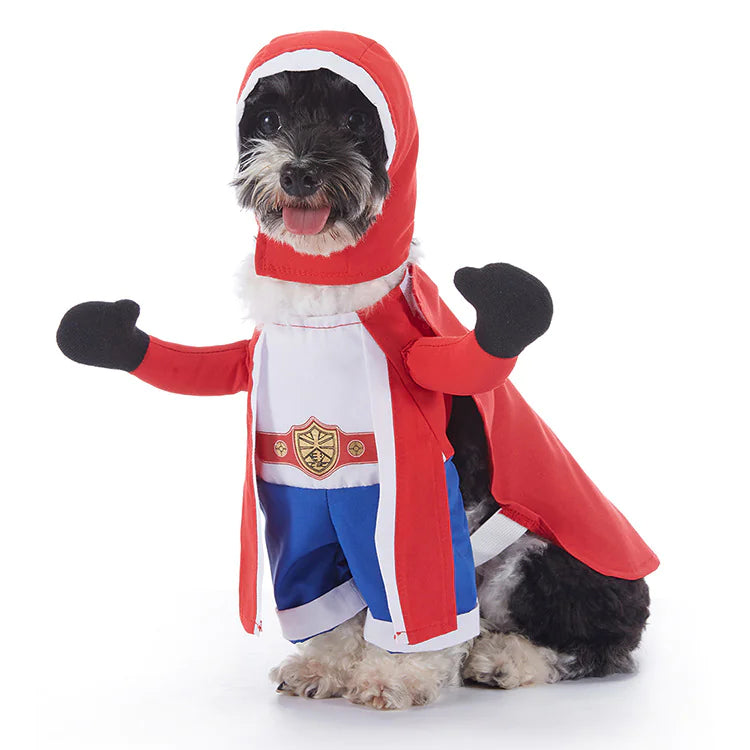 Halloween Dog Costumes - many to choose from