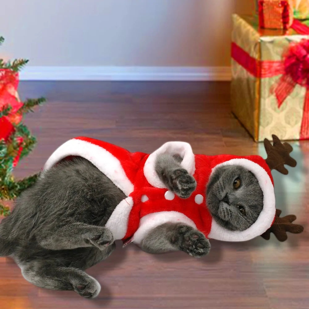 Christmas Santa Costume - cats or small dogs