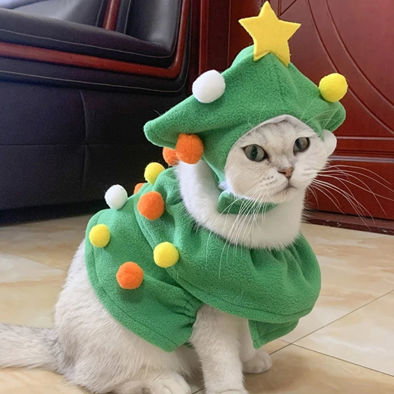 Make Your Pet the Star of Christmas