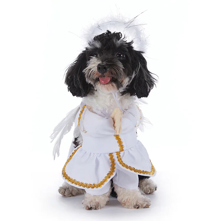 Halloween Dog Costumes - many to choose from