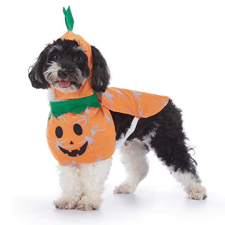 Halloween Dog Costumes - many to choose from