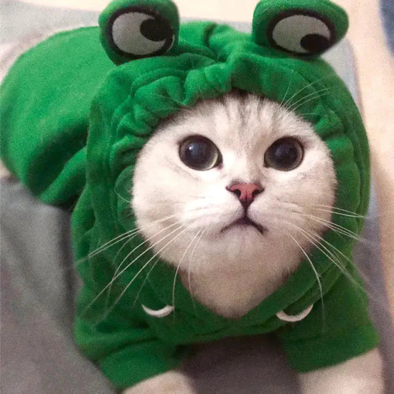 Cute & Cozy Costumes For Pet - Frog, Carrot, Banana