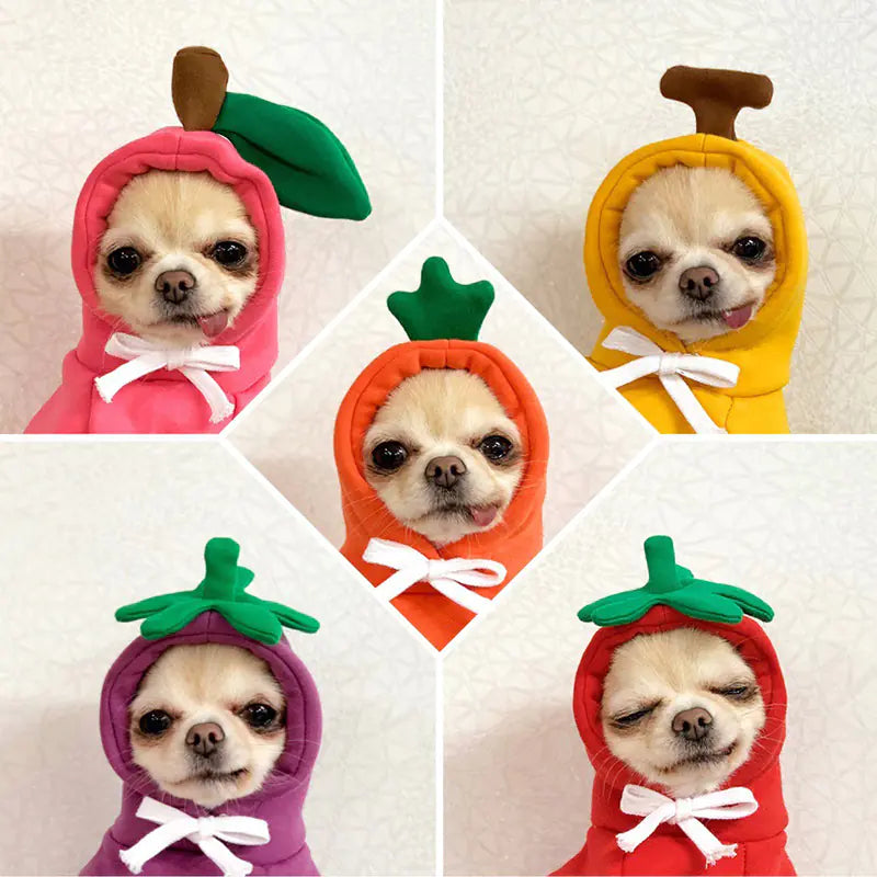 Cute & Cozy Costumes For Pet - Frog, Carrot, Banana