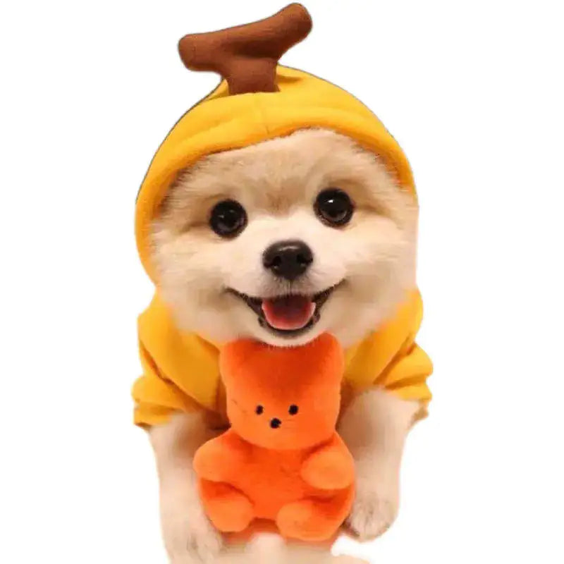 Cute & Cozy Costumes For Pet - Frog, Carrot, Banana